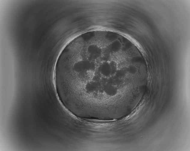 X0000093401247200710190918