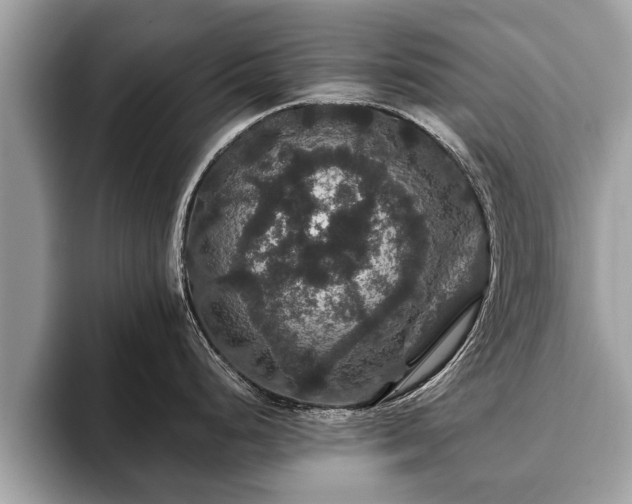 X0000093401248200710190918