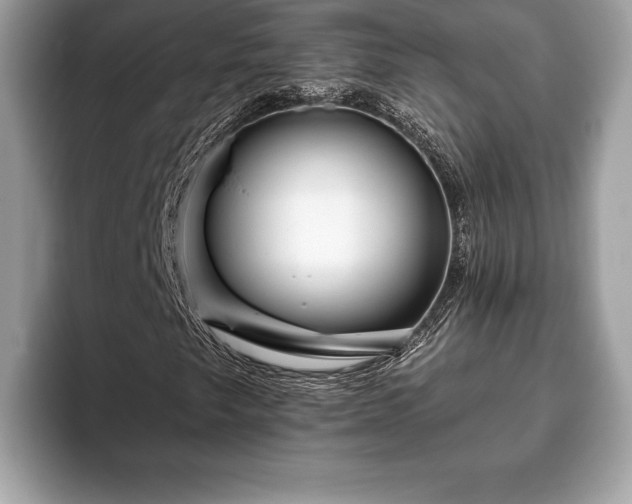X0000093401249200710190917