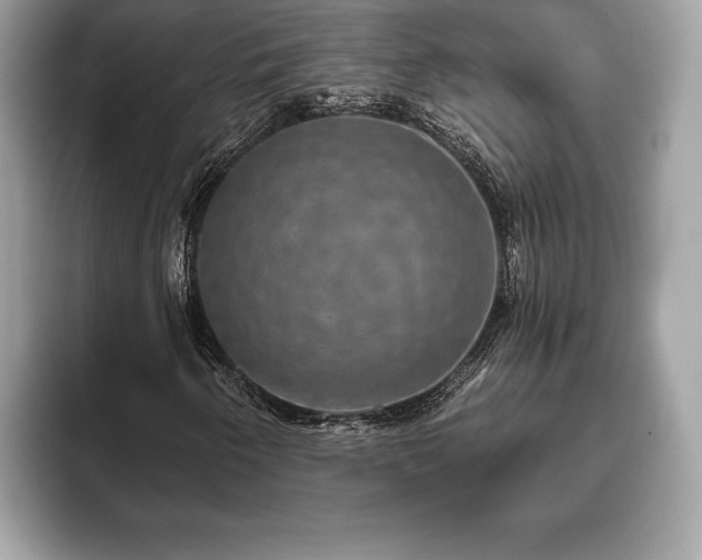 X0000093401250200710190917