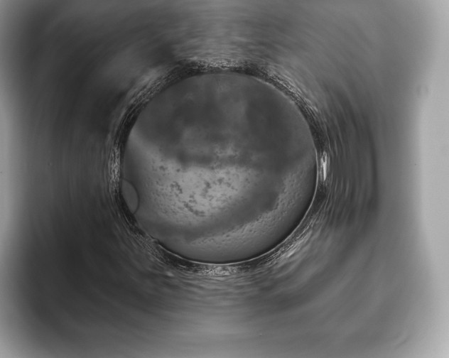 X0000093401251200710190917