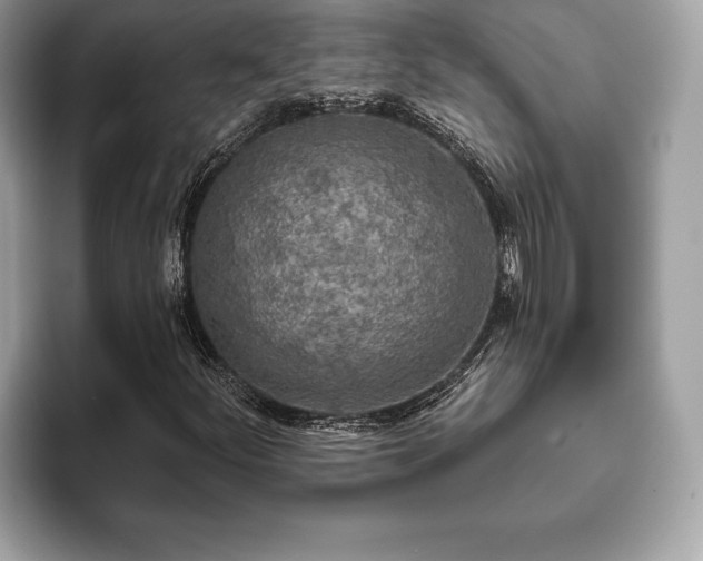 X0000093401252200710190917