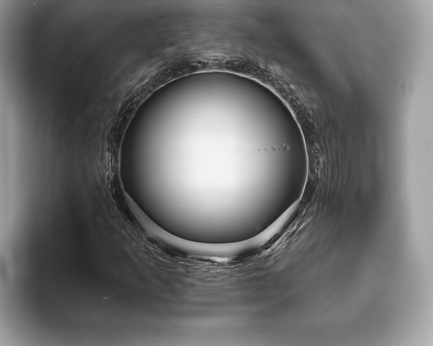 X0000093401253200710190917