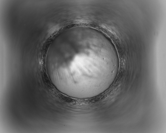 X0000093401254200710190917
