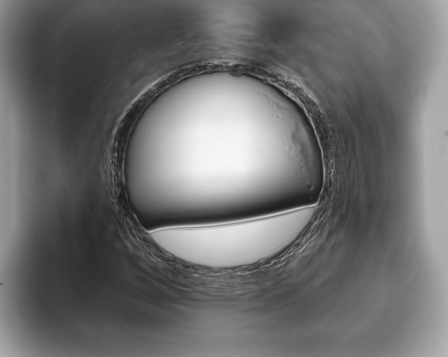X0000093401256200710190917