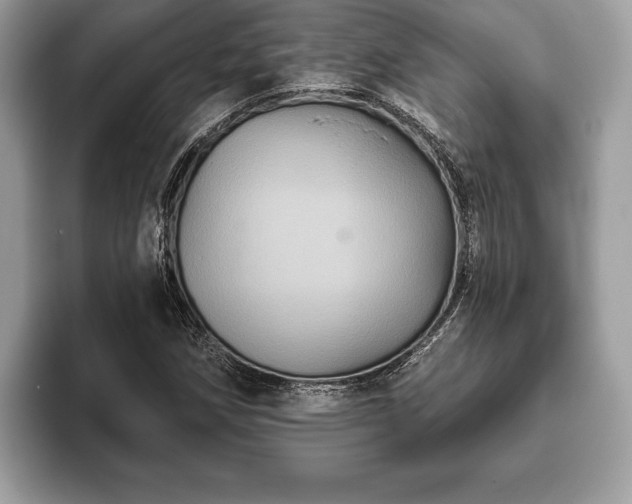 X0000093401258200710190917