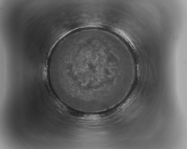 X0000093401260200710190917