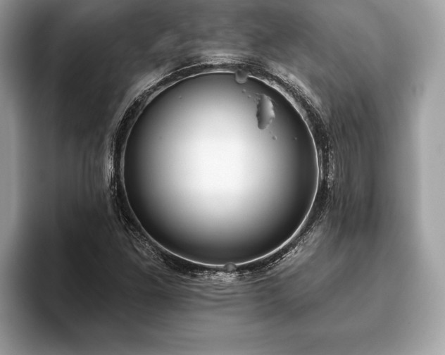 X0000093401261200710190917