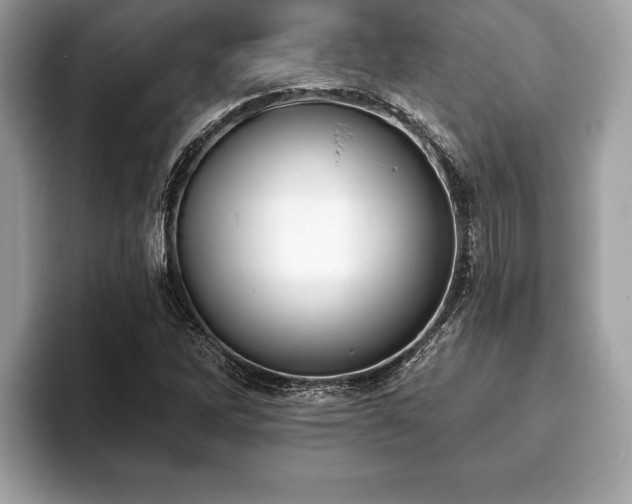 X0000093401262200710190917