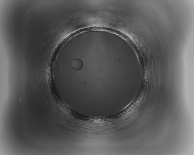 X0000093401263200710190917