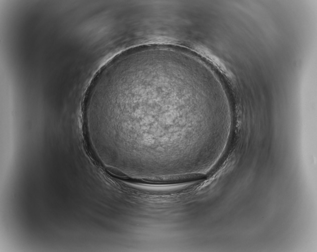 X0000093401264200710190917