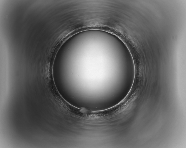 X0000093401265200710190917