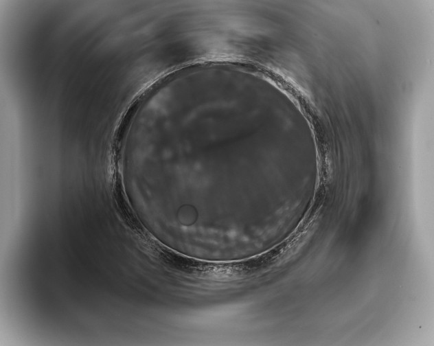 X0000093401266200710190917