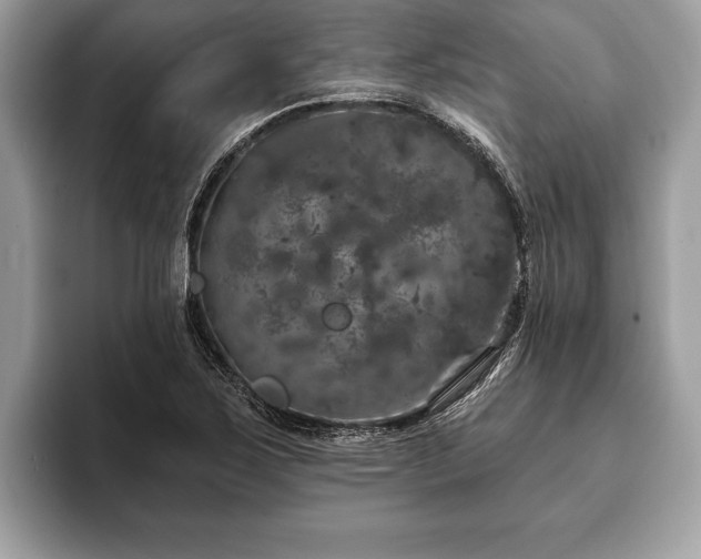 X0000093401267200710190917