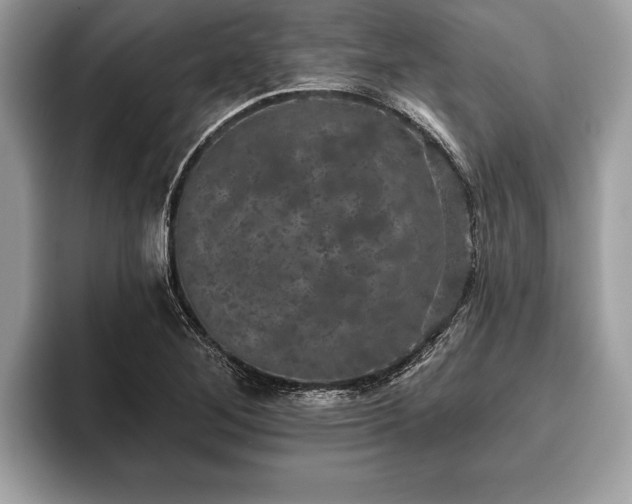 X0000093401268200710190917