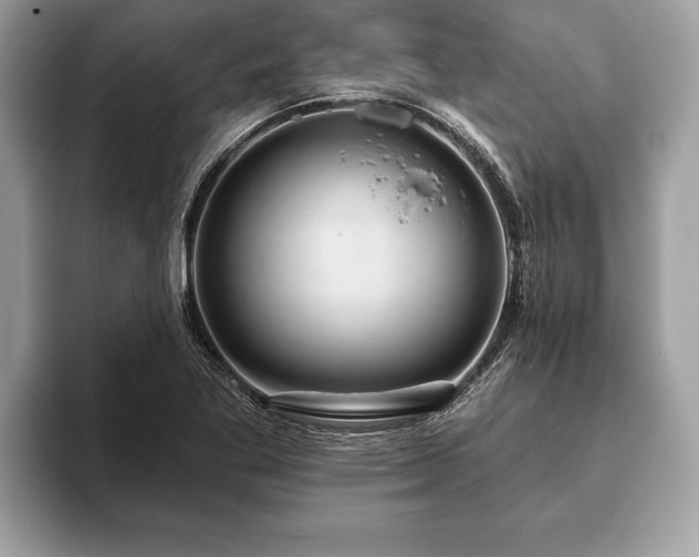 X0000093401269200710190917