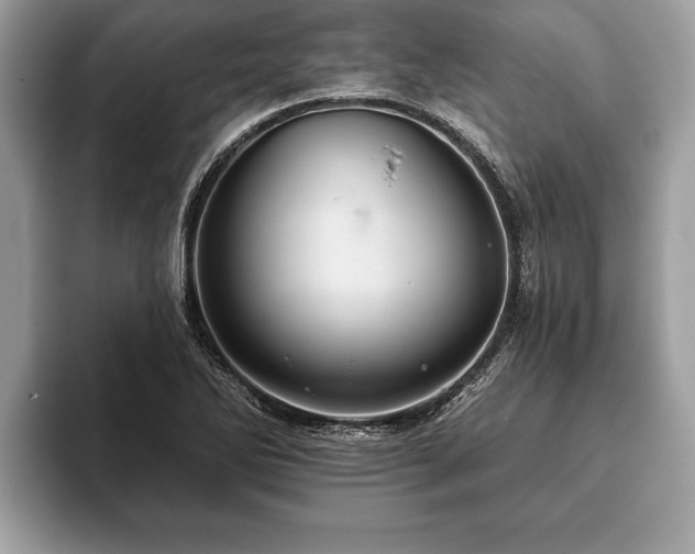 X0000093401270200710190917