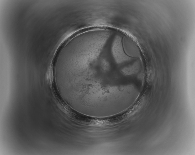 X0000093401271200710190917