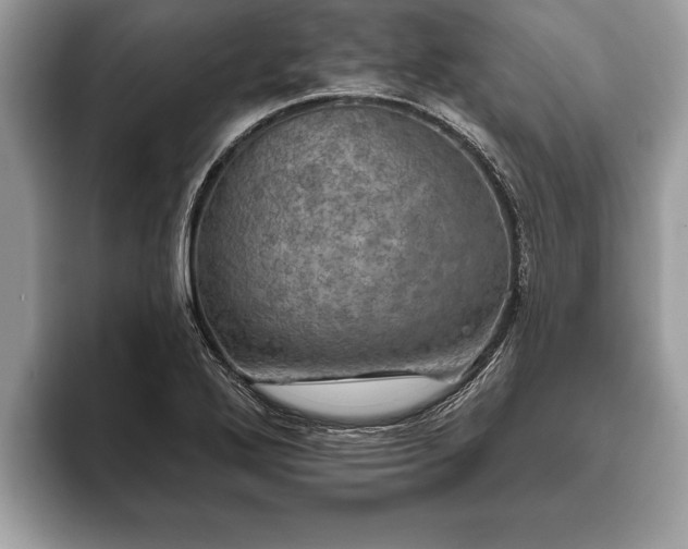 X0000093401272200710190917