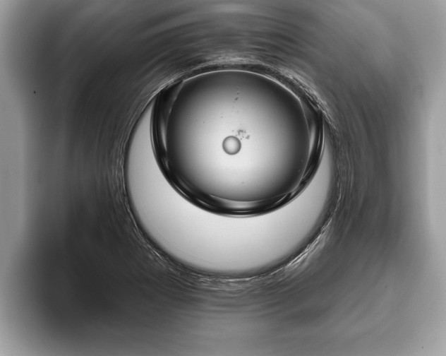 X0000093401273200710190917