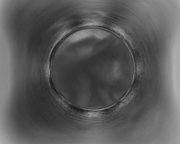 X0000093401274200710190917
