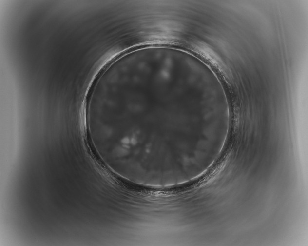 X0000093401275200710190917
