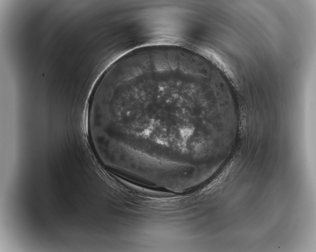 X0000093401276200710190917