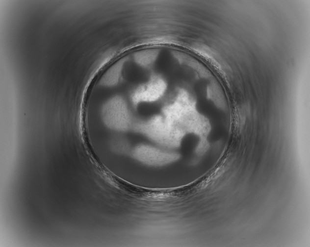 X0000093401278200710190917