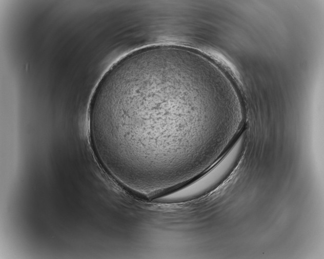 X0000093401280200710190917