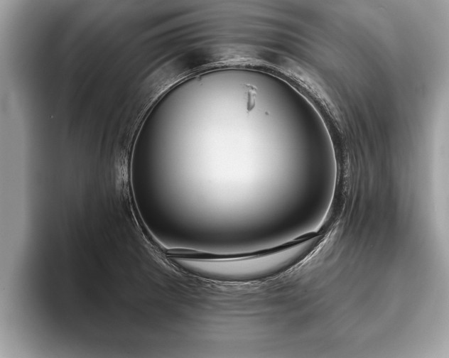 X0000093401281200710190917
