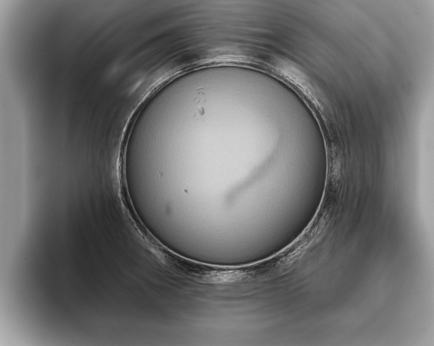 X0000093401282200710190917
