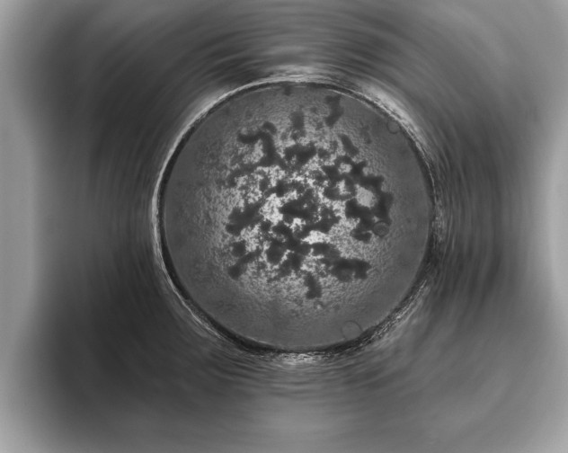 X0000093401283200710190917