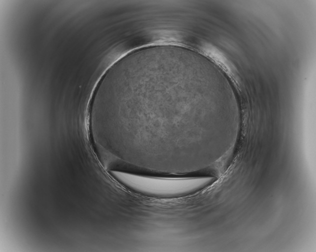 X0000093401284200710190916