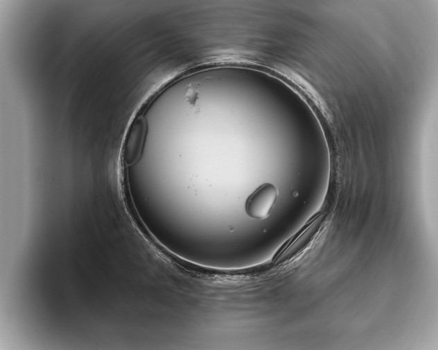 X0000093401285200710190916