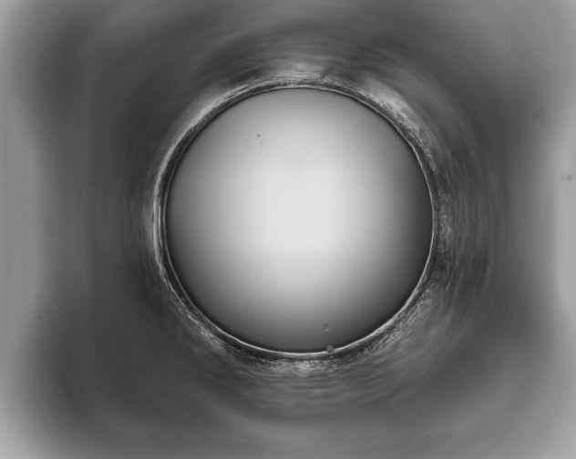 X0000093401286200710190916