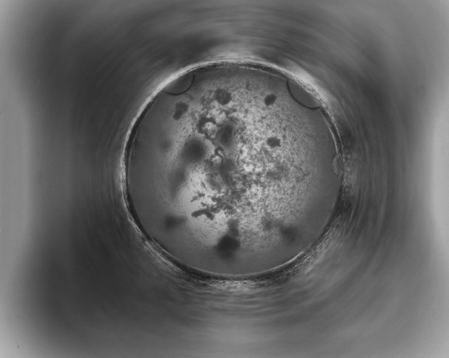 X0000093401287200710190916