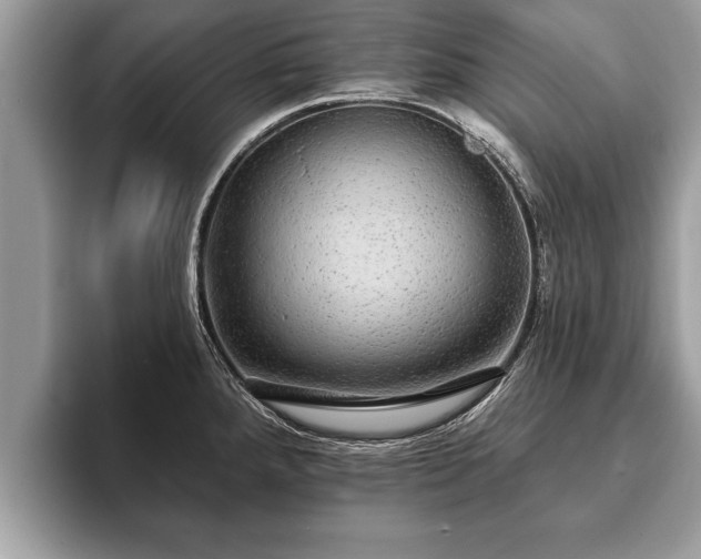 X0000093401288200710190916
