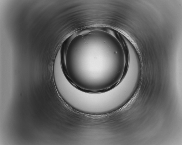 X0000093401289200710190916