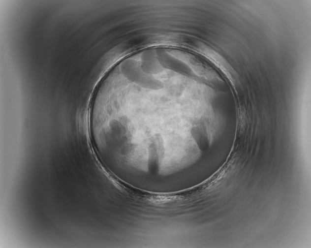 X0000093401290200710190916