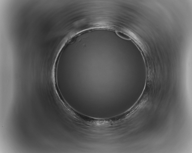 X0000093401291200710190916