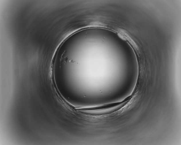 X0000093401292200710190916