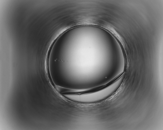X0000093401293200710190916