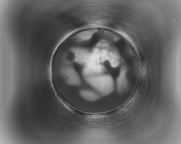 X0000093401294200710190916