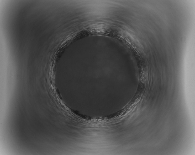 X0000093401297200710190916