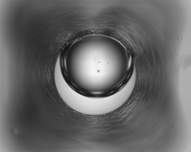 X0000093401298200710190916