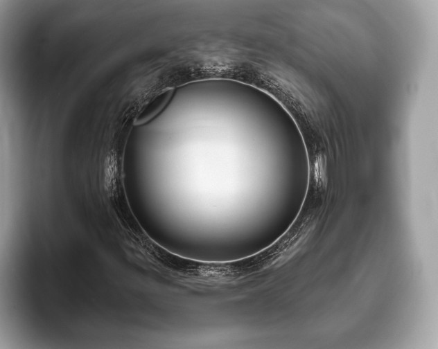 X0000093401299200710190916