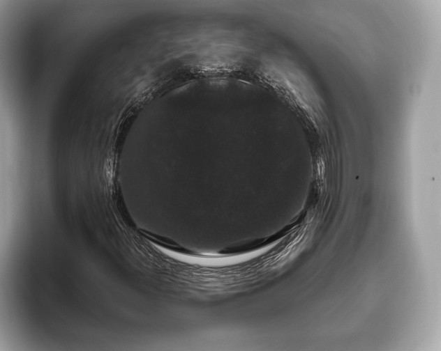 X0000093401300200710190916