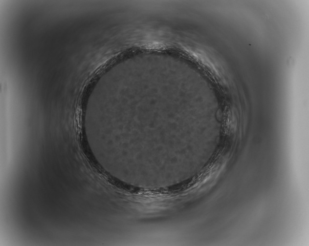 X0000093401301200710190916