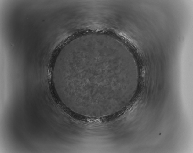 X0000093401302200710190916