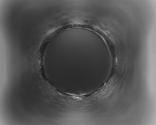 X0000093401303200710190916